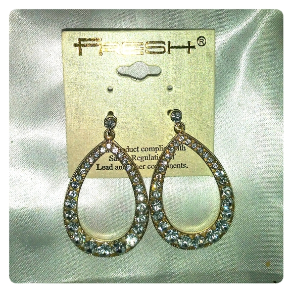 Earrings - Picture 1 of 2